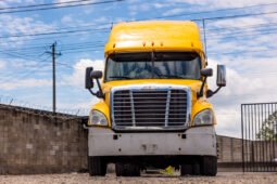 FREIGHTLINER CASCADIA 2013 Amarillo full