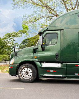 CASCADIA VERDE 2015 full