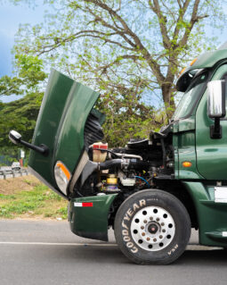 CASCADIA VERDE 2015 full