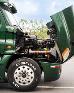 CASCADIA VERDE 2015 full