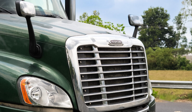 CASCADIA VERDE 2015 full